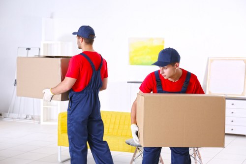 Student storage options in Hatchend for boxes and luggage